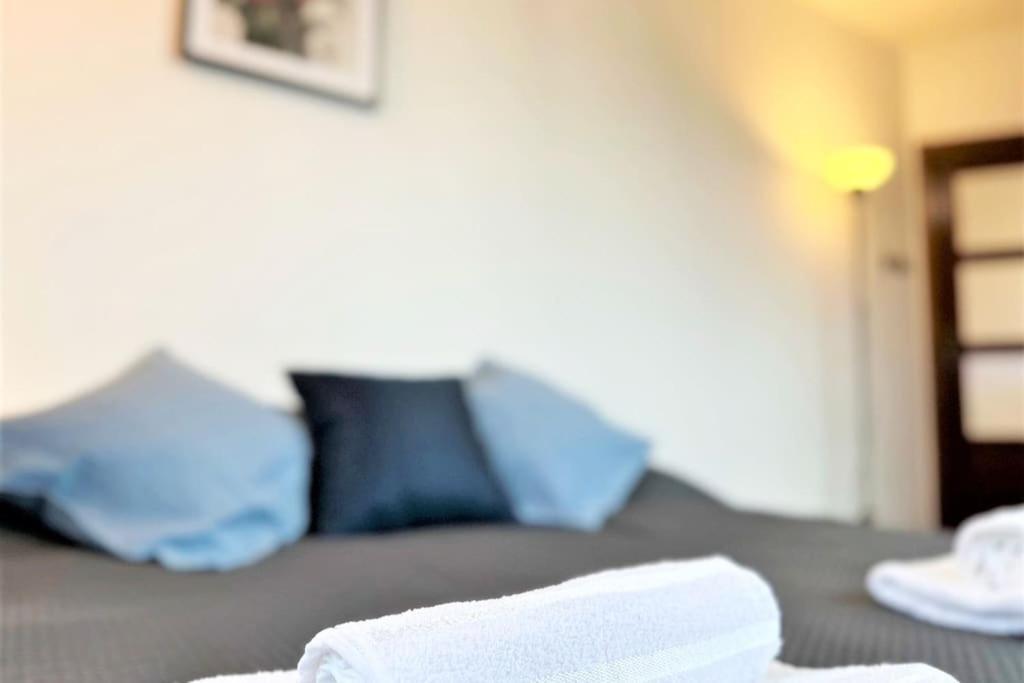 Exclusive Penthouse Near Citycenter 120M2 +Netflix 克拉科夫 外观 照片