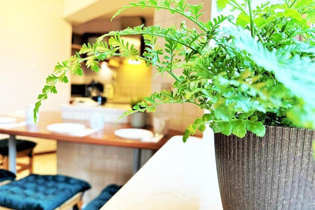 Exclusive Penthouse Near Citycenter 120M2 +Netflix 克拉科夫 外观 照片