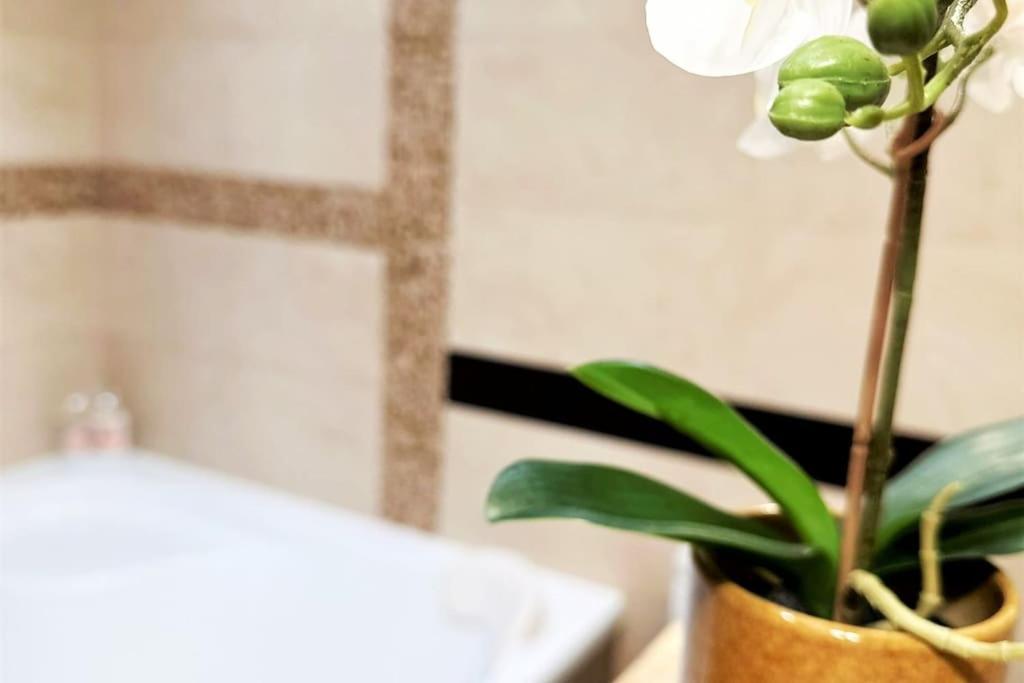 Exclusive Penthouse Near Citycenter 120M2 +Netflix 克拉科夫 外观 照片