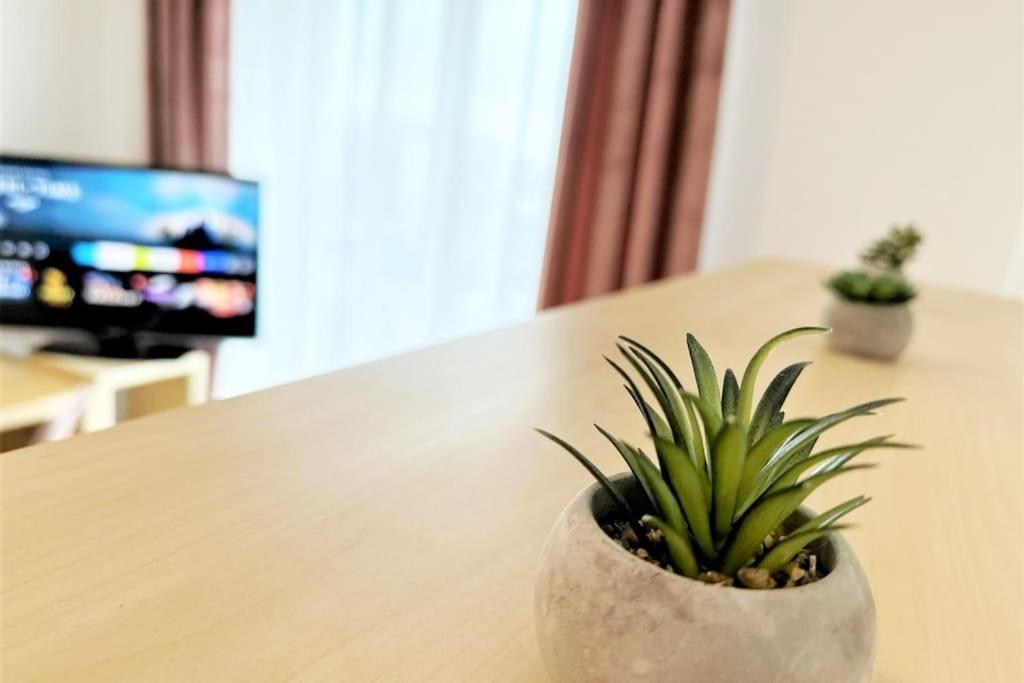 Exclusive Penthouse Near Citycenter 120M2 +Netflix 克拉科夫 外观 照片