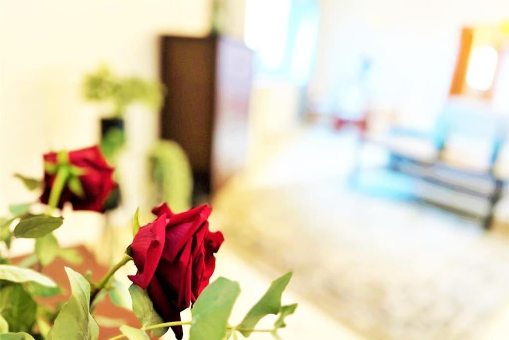 Exclusive Penthouse Near Citycenter 120M2 +Netflix 克拉科夫 外观 照片